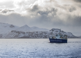 MARINE ENVIRONMENTAL – OPA ’90. Livello Base e Manageriale
